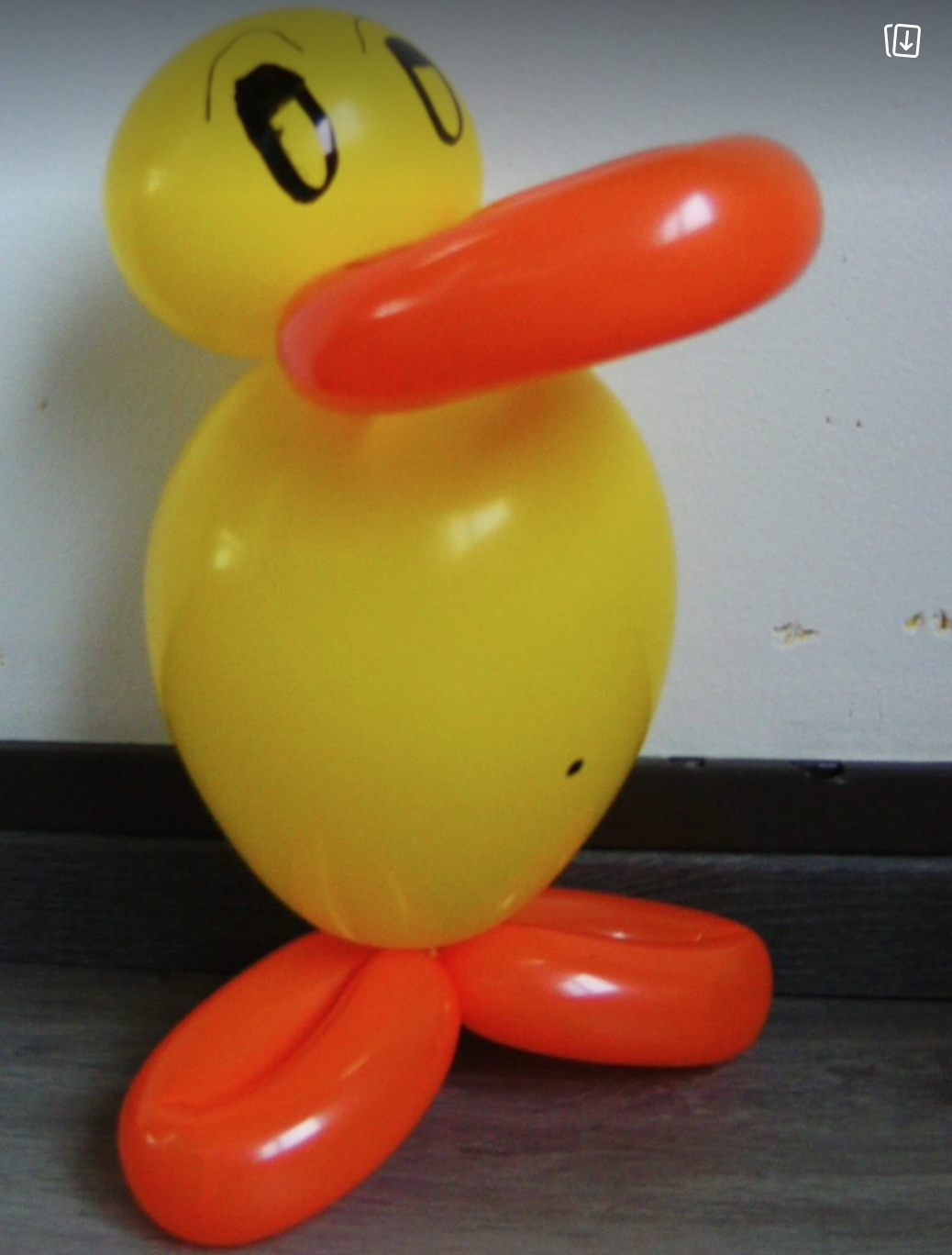 Kies uit onze vele balloncreaties