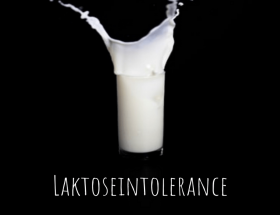 Laktoseintolerance