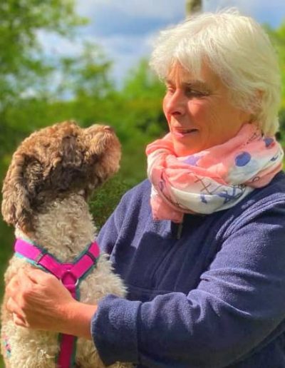 Lagotto Romagnolo Brenda