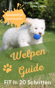 Welpen Guide Fit in 20 Schritten