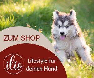 Ilio Lifestyle für deinen Hund