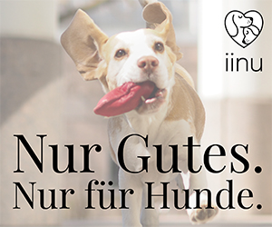 iinu für Hunde