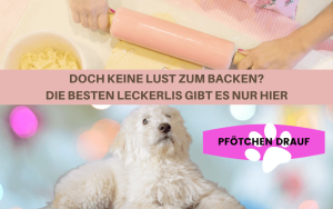 Leckerlis für Hunde