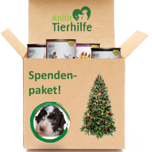 Anifit Spende an Tierheime in Not