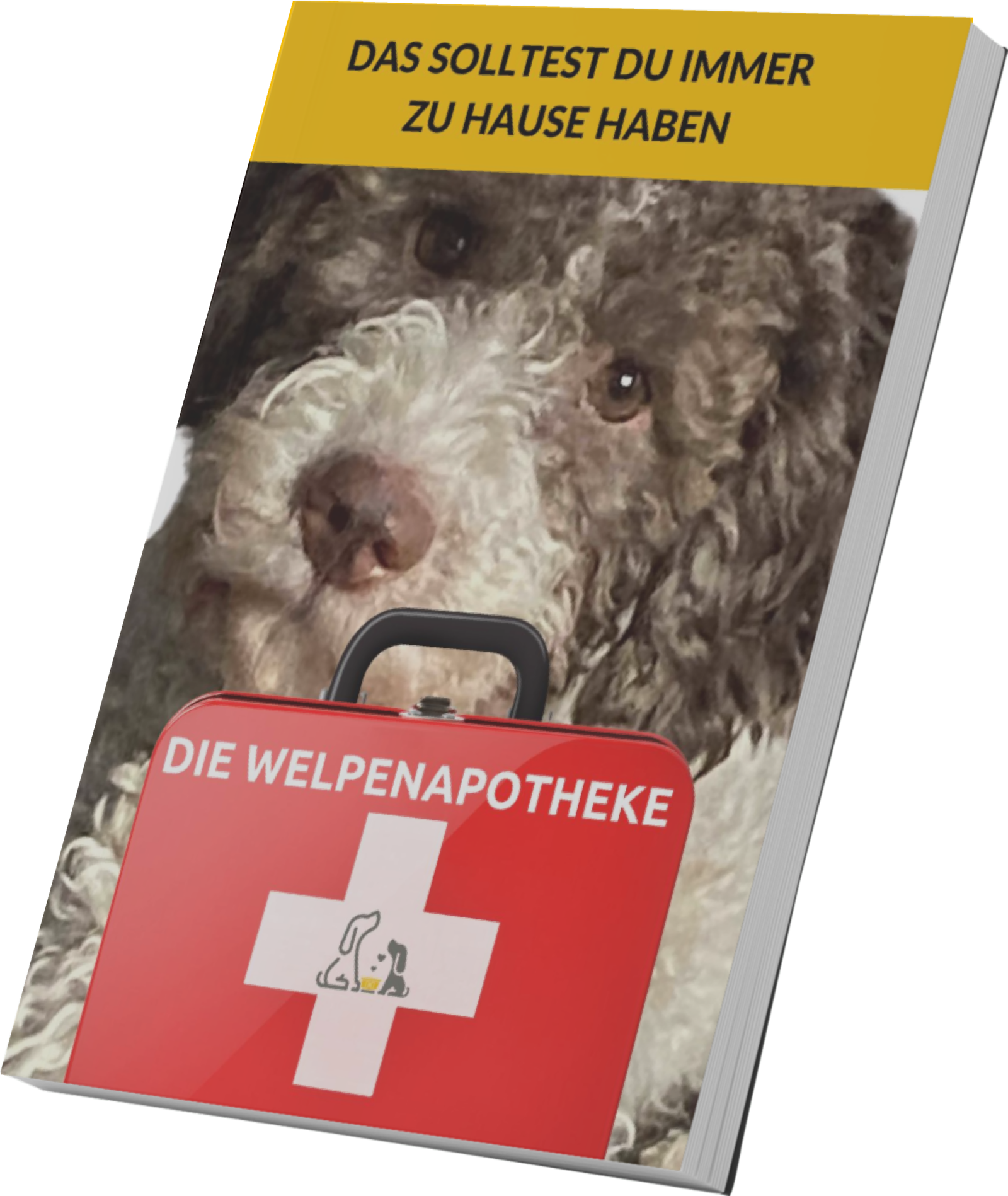 Welpenapotheke E-Book