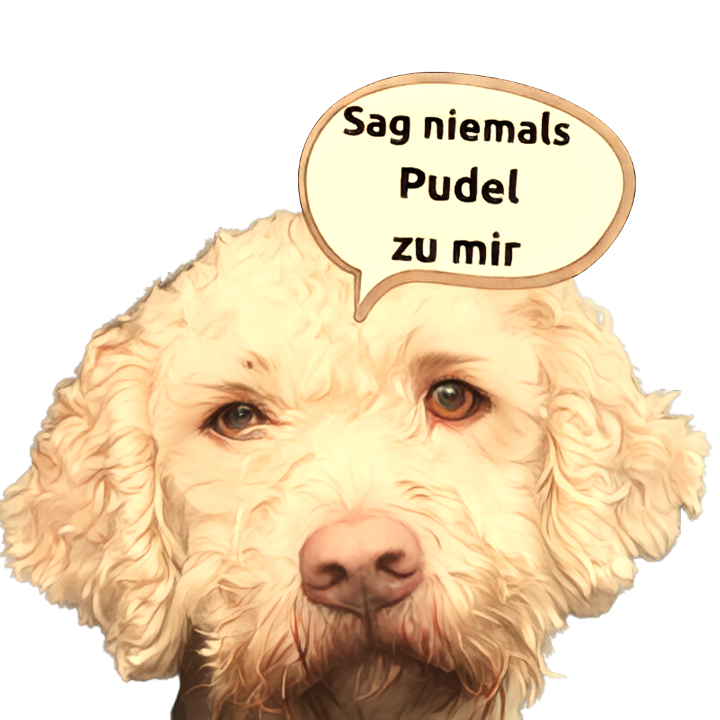 Lagotto Romagnolo Sticker