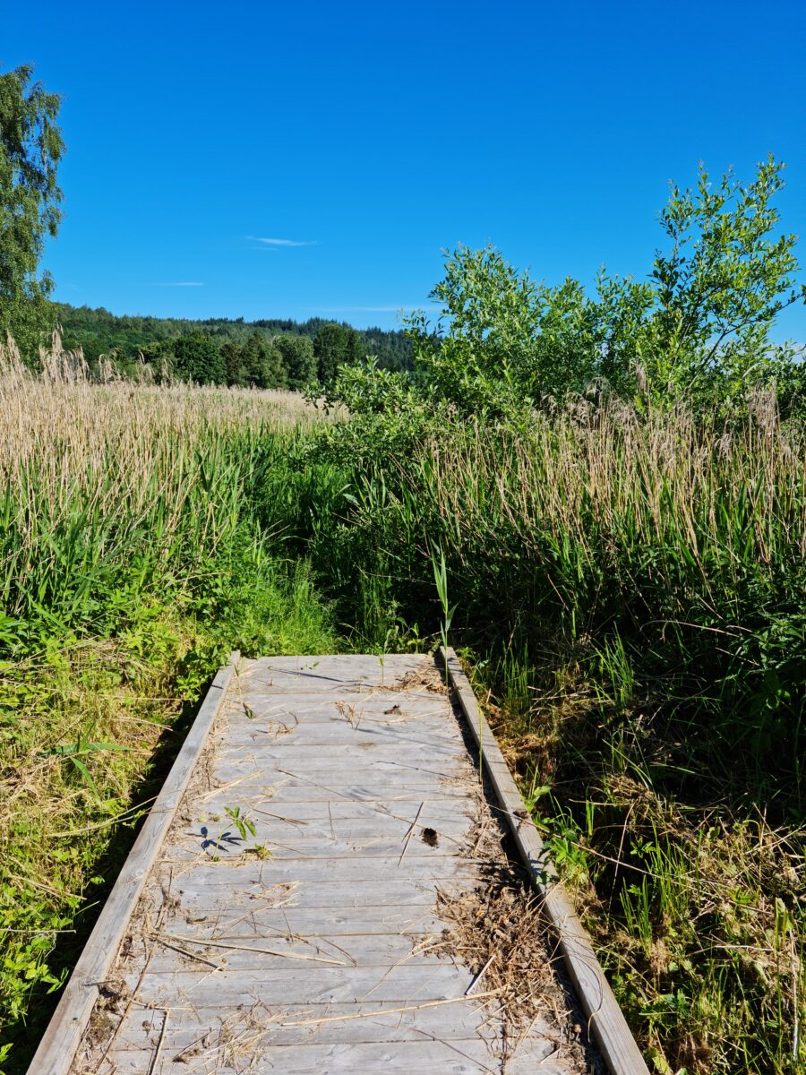 Daggs Mosse med Alvastra Pålbyggnad.