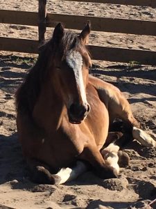 kay 2 jaar in de zon