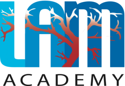 cropped-LAM_Academy.png LAM Academy