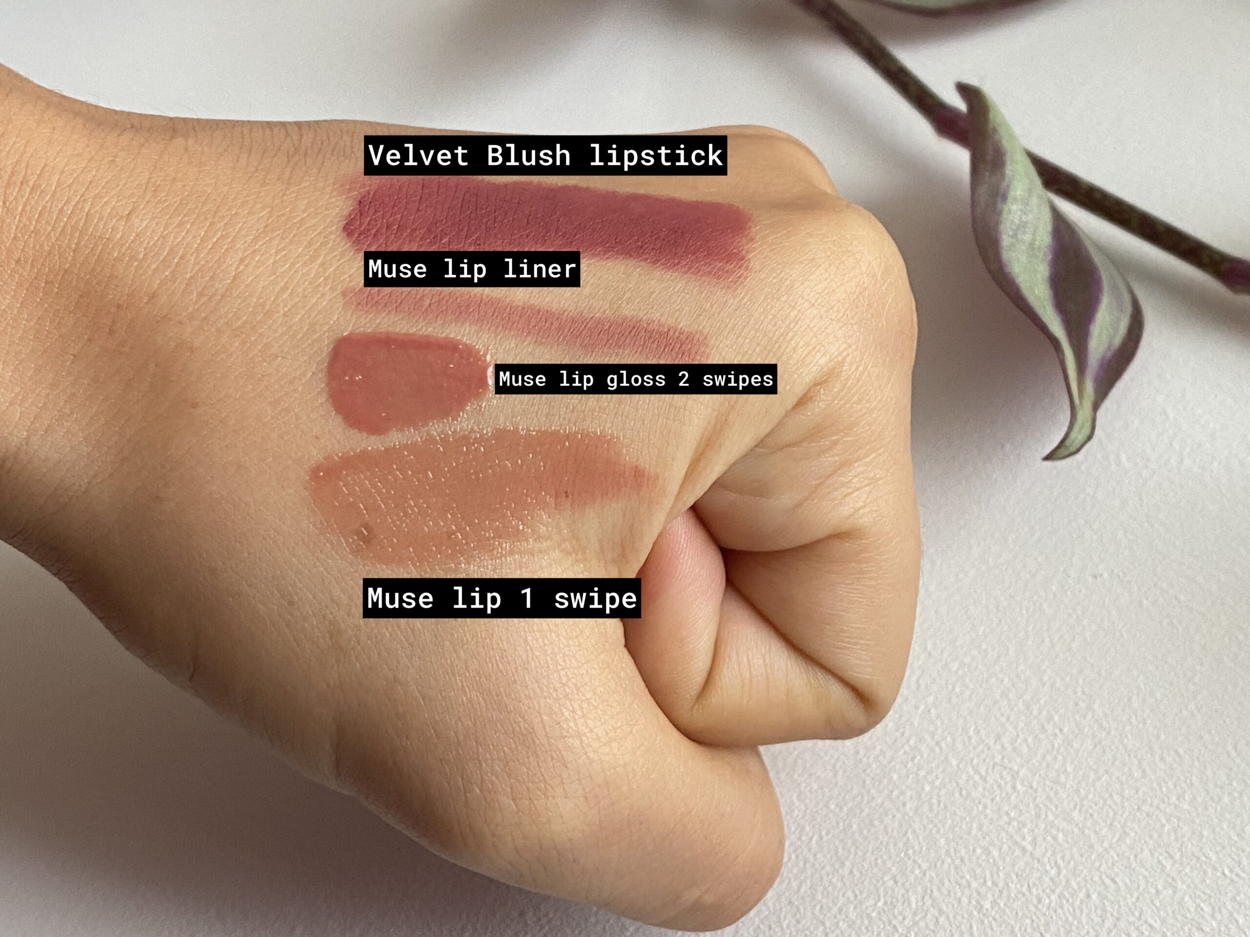 New Lisa Eldridge lipstick review: Velvet Blush and Muse Embrace lip gloss