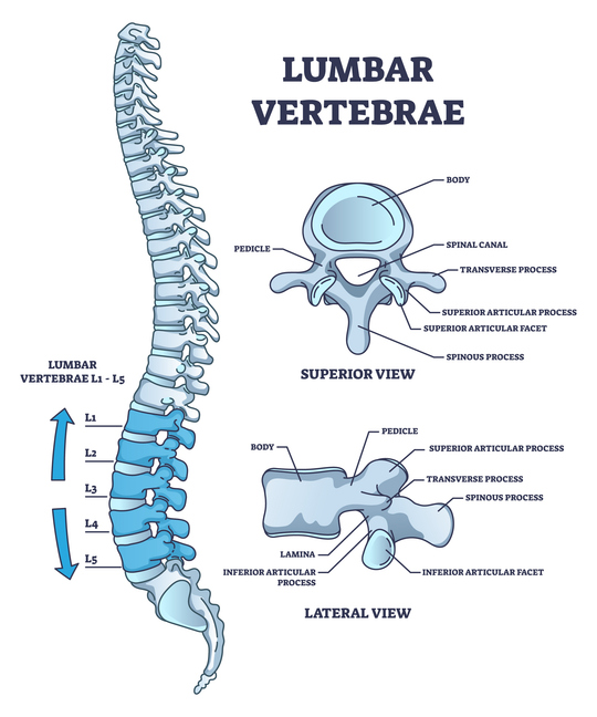 5 Trygge velser Ved Lumbal Spondylose slitasje I Ryggs ylen 5 Trygge velser Ved Lumbal Spondylose slitasje I Ryggs ylen