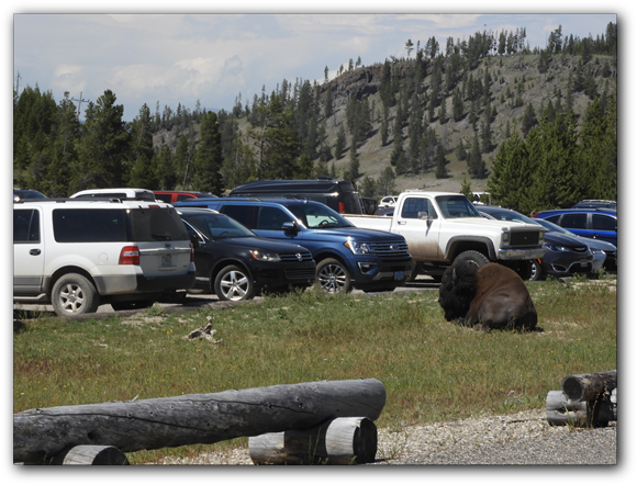 DSCN0679 2018 - dag 6 - West Yellowstone