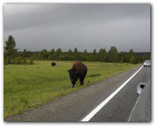 DSCN0730 2018 - dag 7 - Yellowstone udflugt