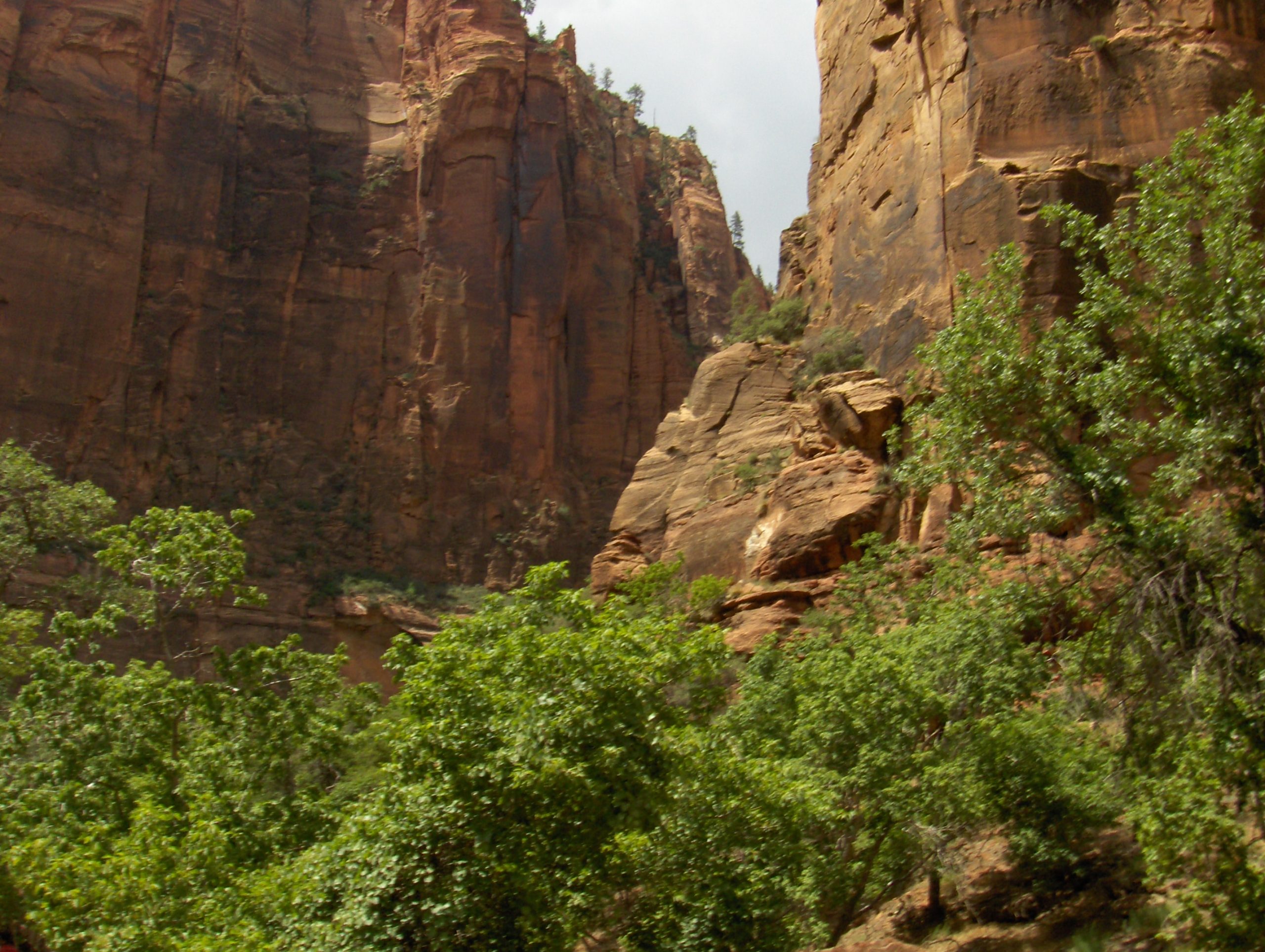 HPIM3130-scaled USA 2008 - dag 16 - Kanab