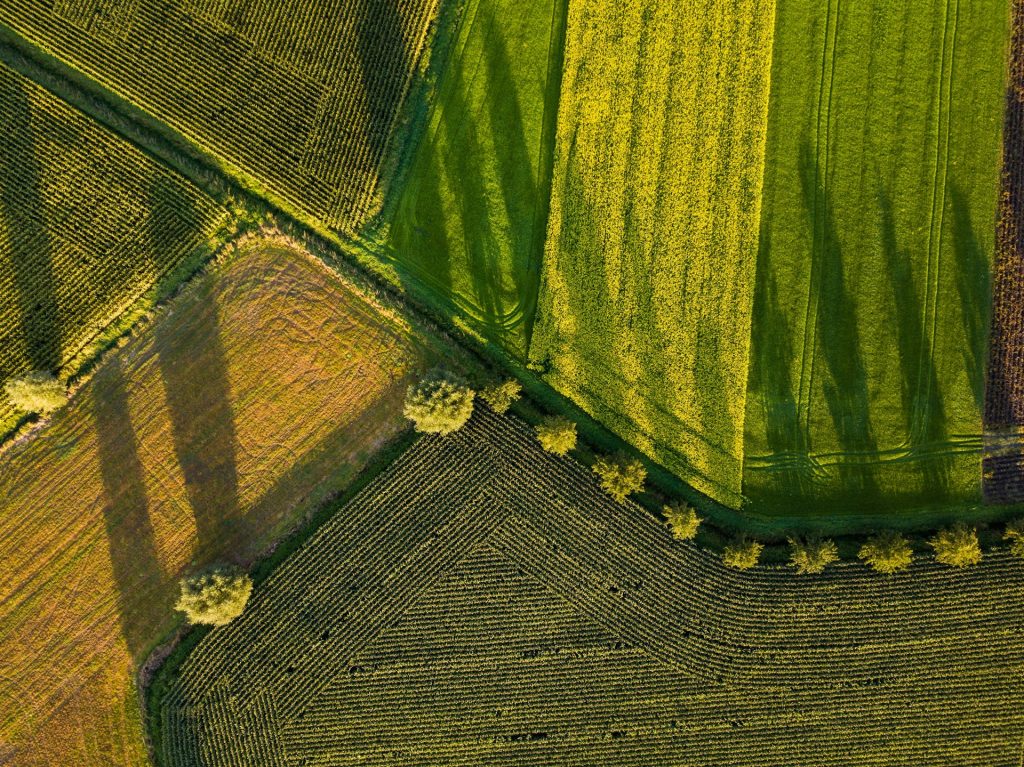 Hvor er der mest landbrug i Danmark