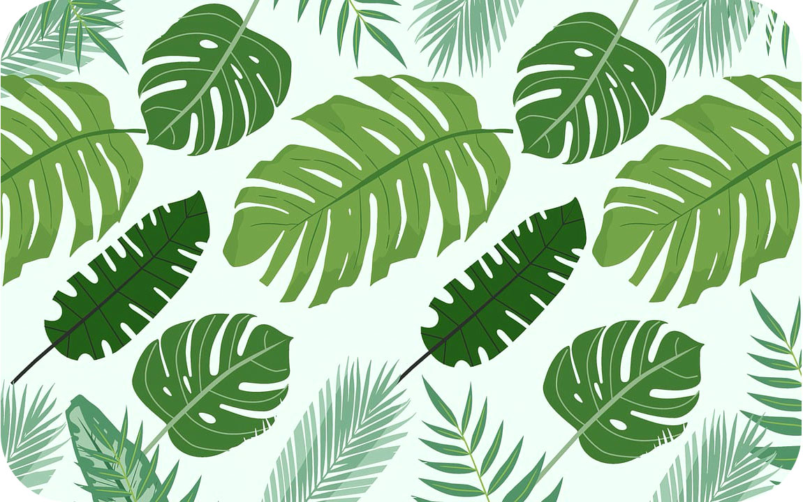 leaves