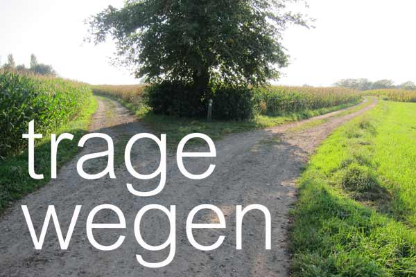 splitsing Boonakker en Hoek Ter Hulst (vroeger Betsbergweg)