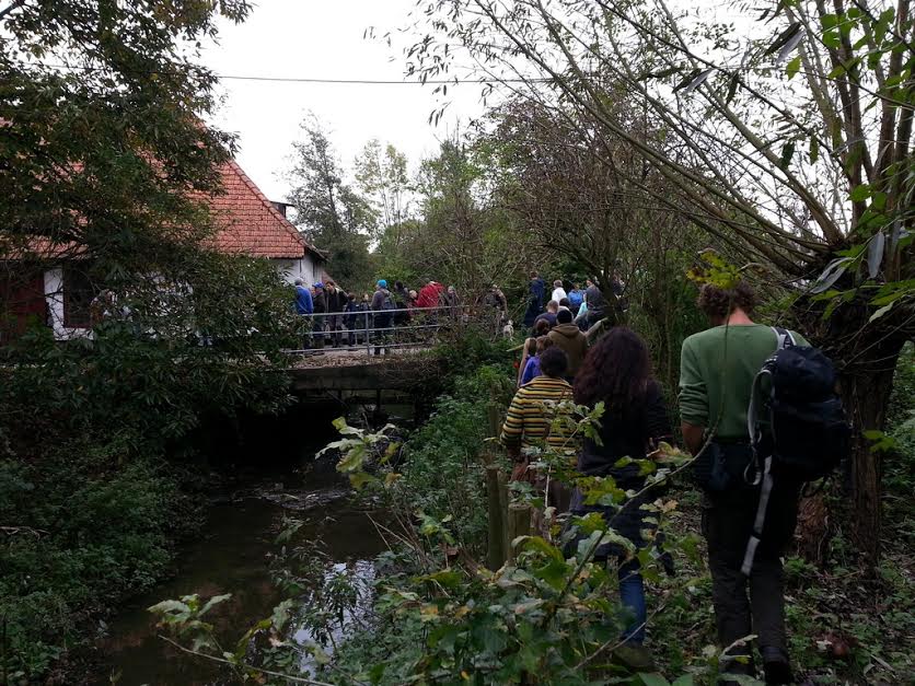 wandeling langs het Schellaertpad bij de Watermolenstraat in Moortsele (foto via werkgroep)