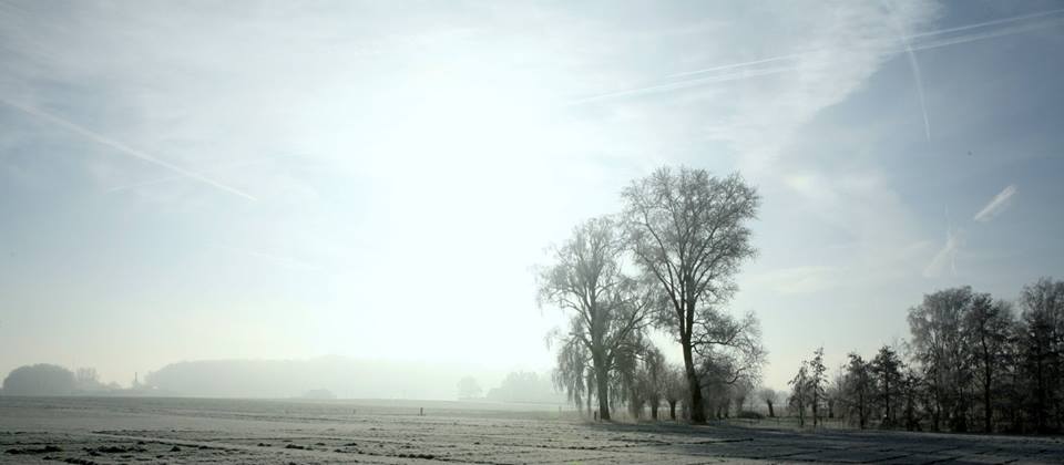 In 2013 won Padre Renaat nog een prijs met deze foto uit 2007. Die toont beide populieren bij een besneeuwd kouter. 