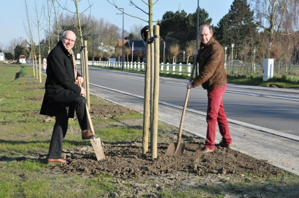 Jan Martens en Christ Meuleman planten bomen langs de Van Thorenburghlaan