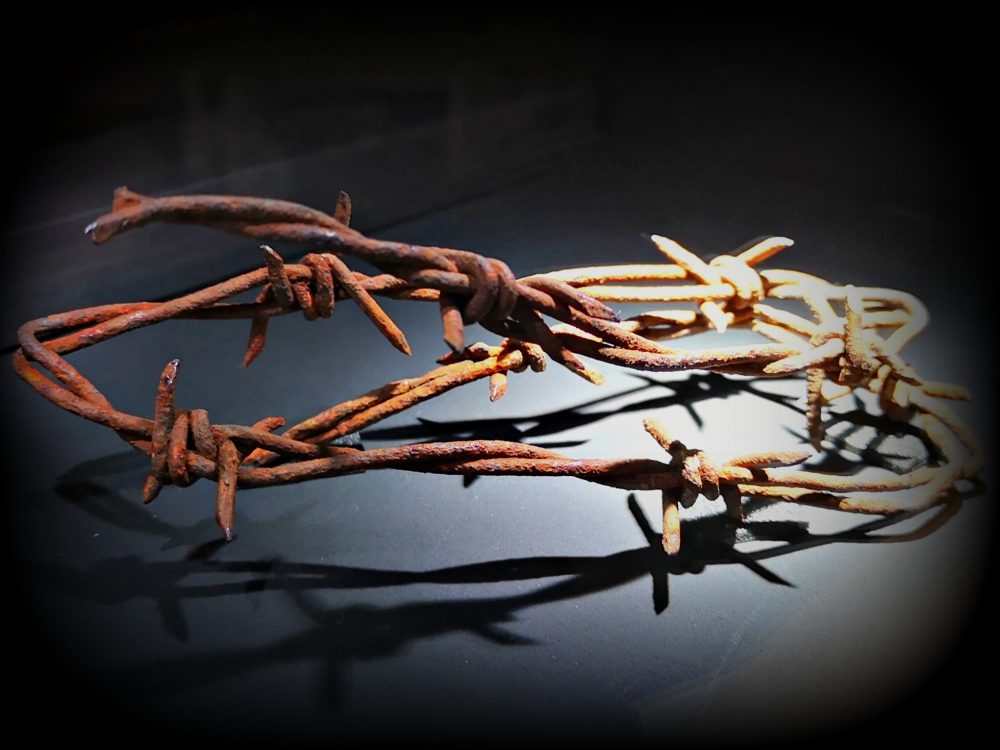 lappeteppet-teknisk-museum-piggtråd
