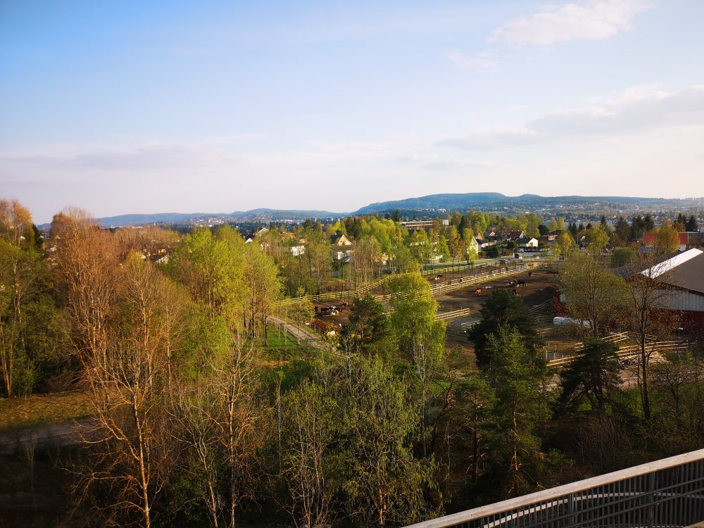 2019-04-28-19.04.57-lappeteppet-stovnertårnet