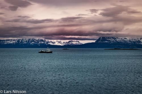 2023-Lofoten-9