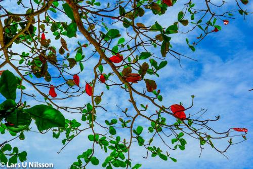 Indonesia Belitung-20170326-028