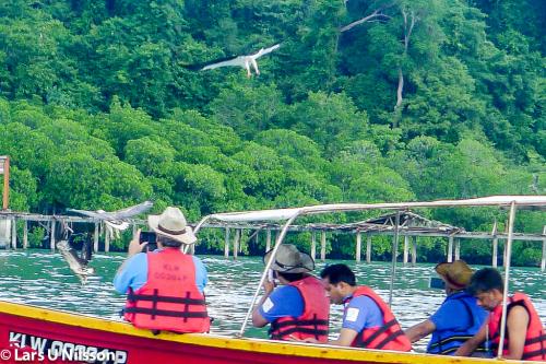 Malaysia Langkawi-20170115-018