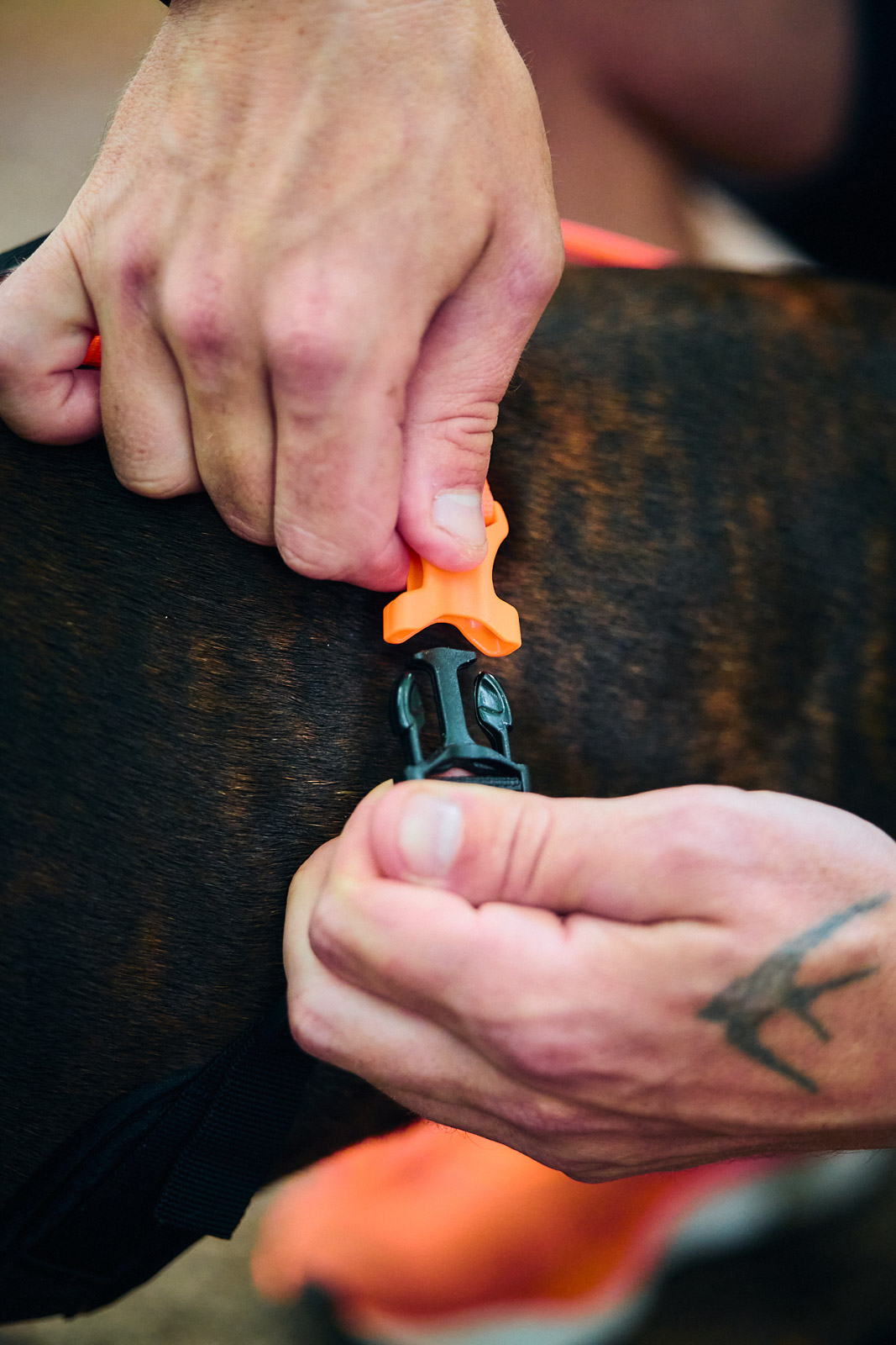 Non-stop Rush harness - Billede 2