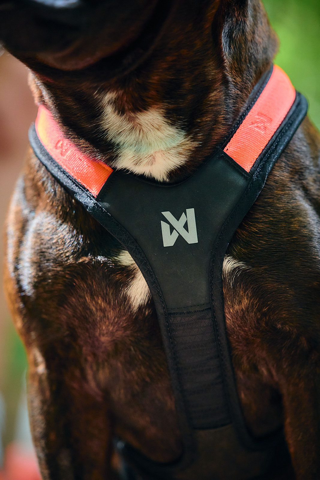 Non-stop Rush harness - Billede 5