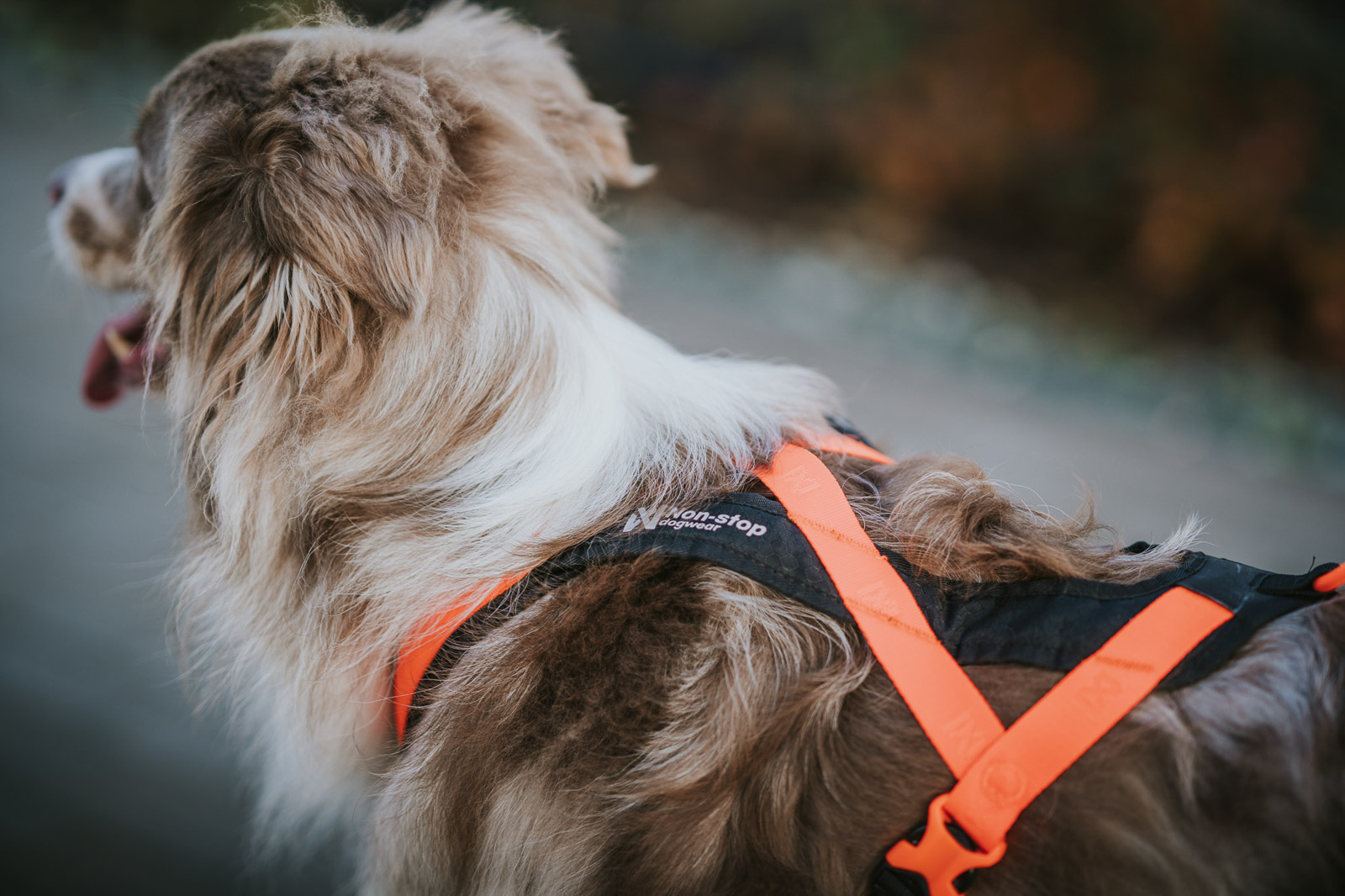 Non-stop Rush harness - Billede 4