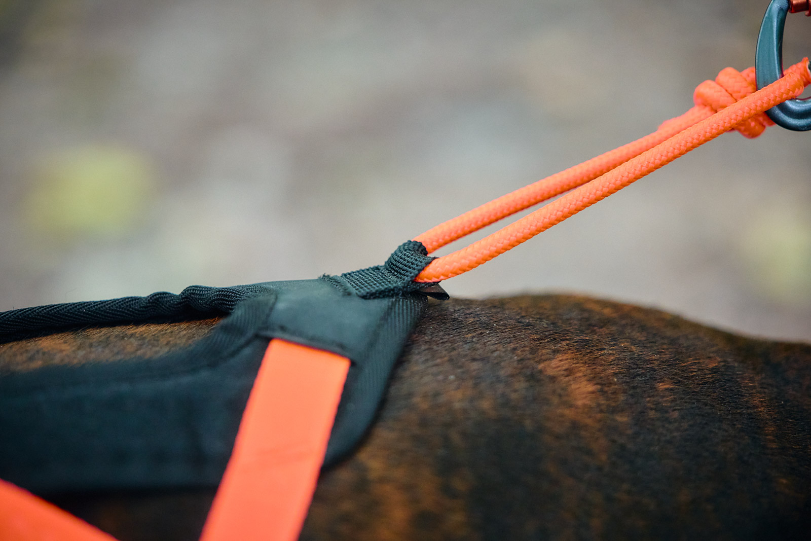 Non-stop Rush harness - Billede 3