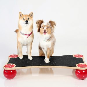 balance hund