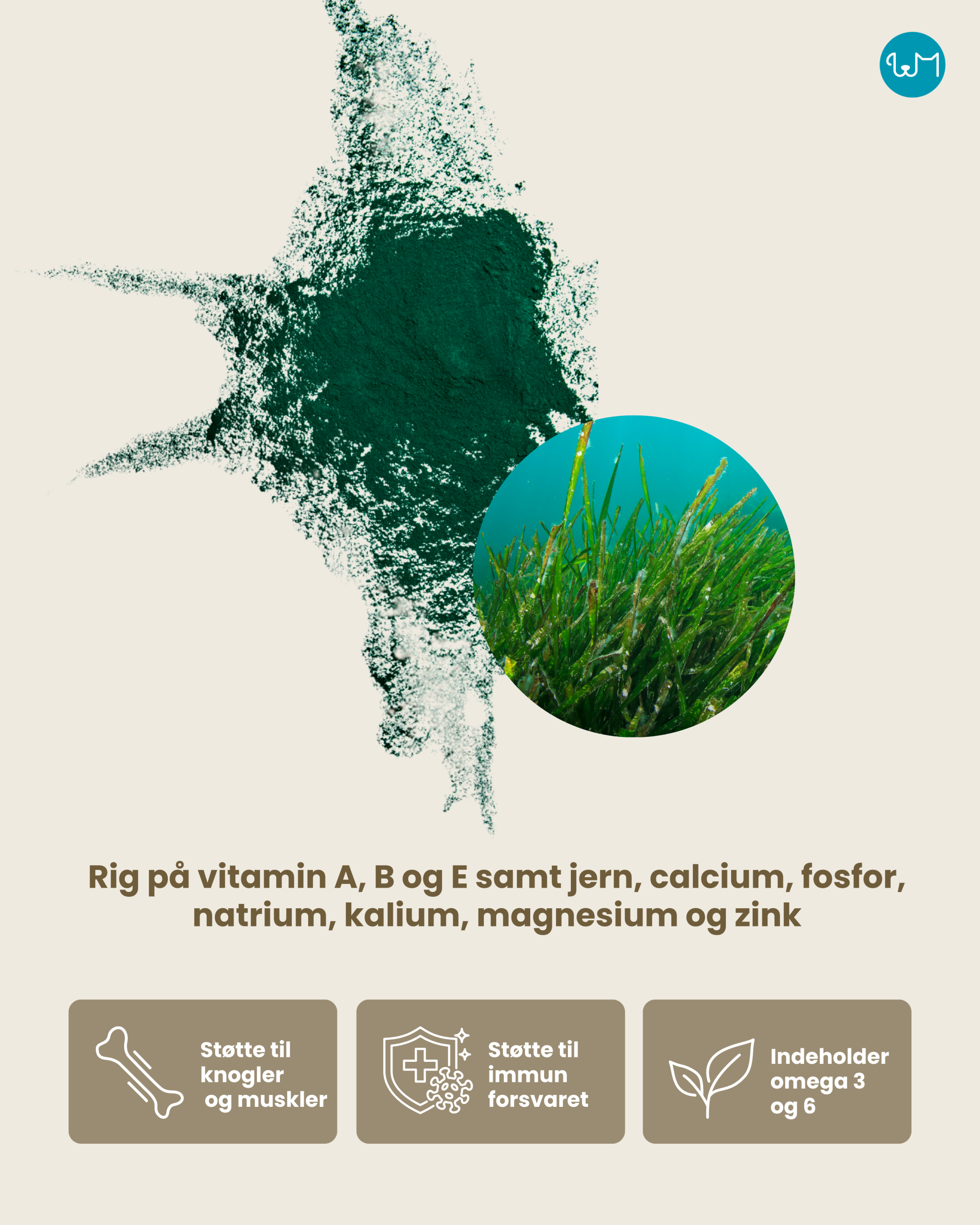 Spirulina kosttilskud til hund