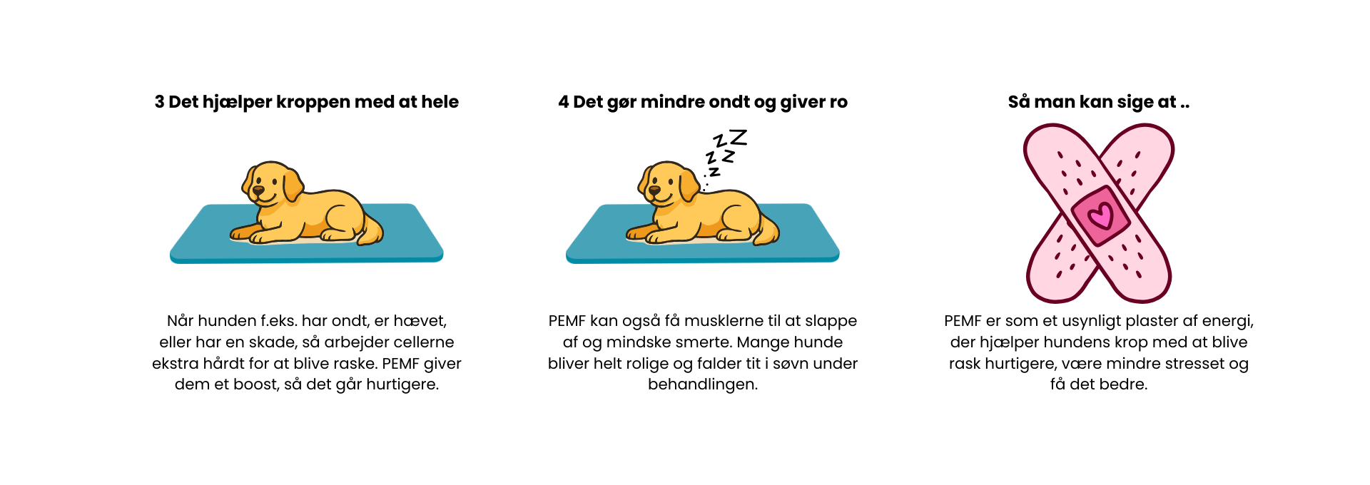 magnet terapi hund