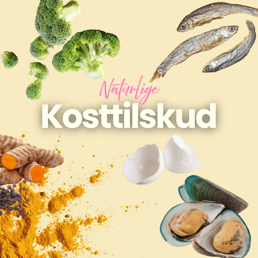 Kosttilskud til hund