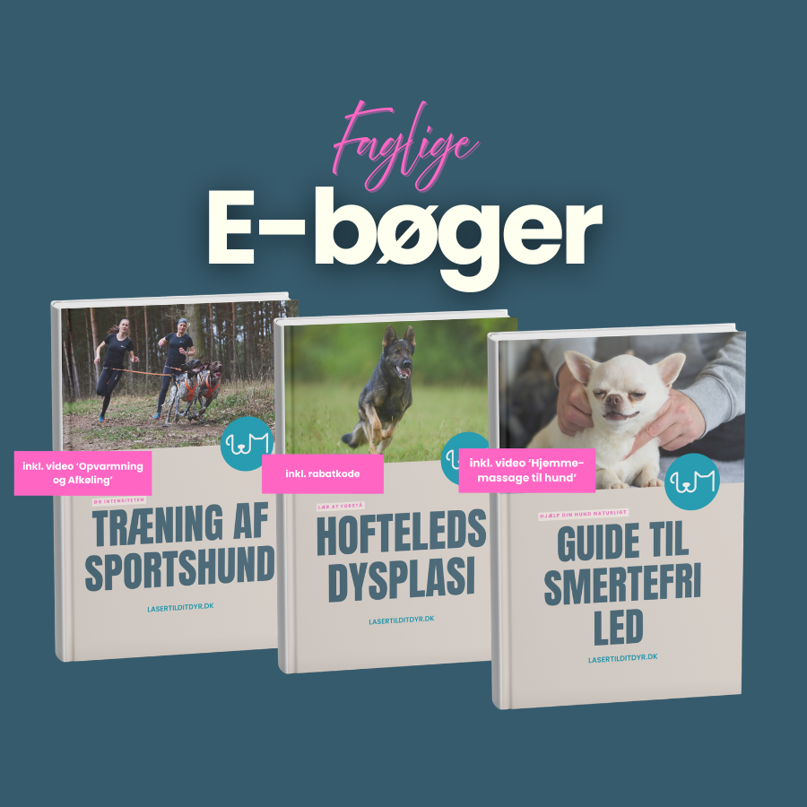E-bøger hund
