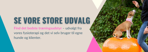 Torbens favoritter 
