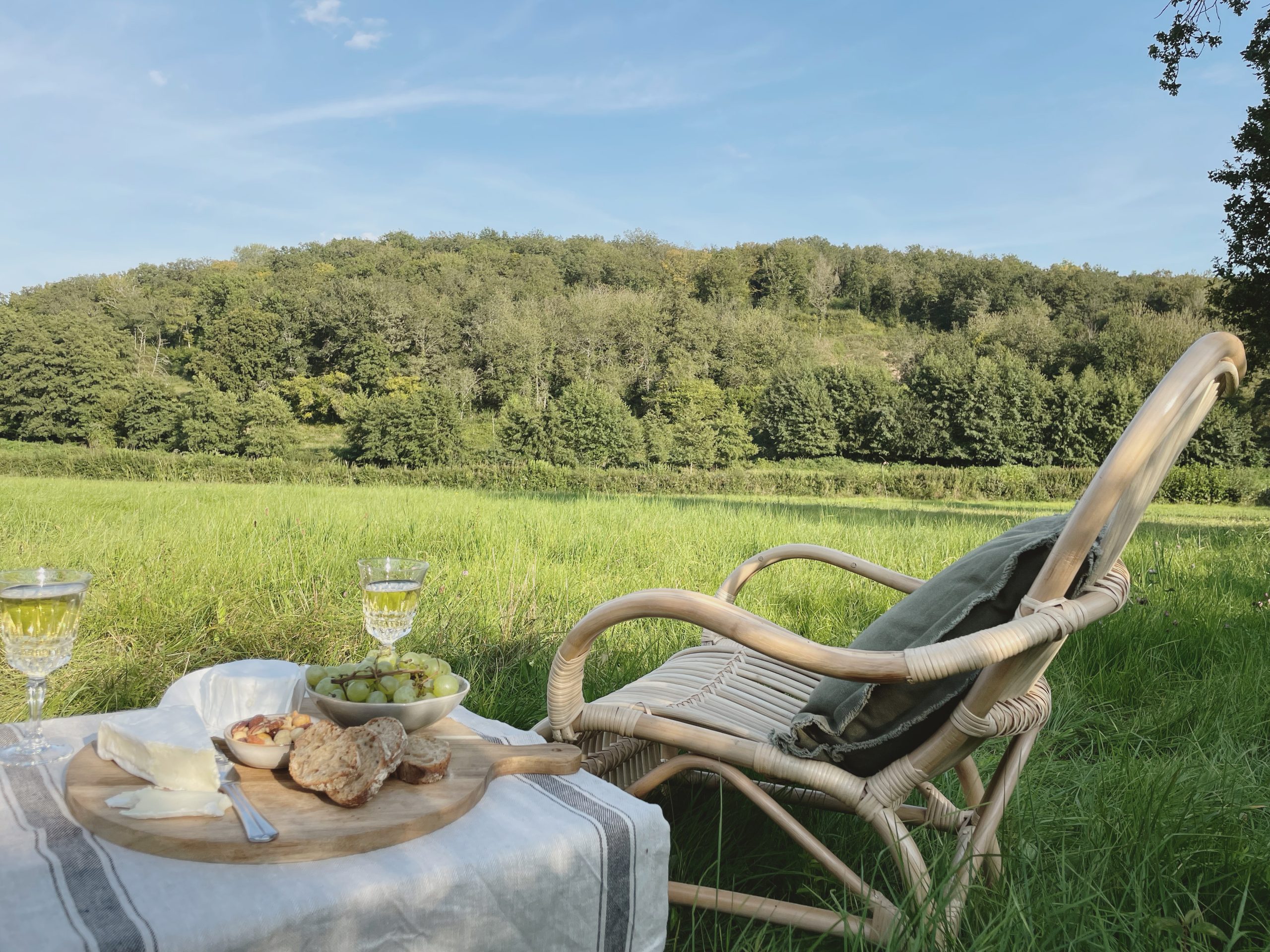 Relax with views of the forest and farm fields