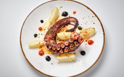 Rejo de Pulpo