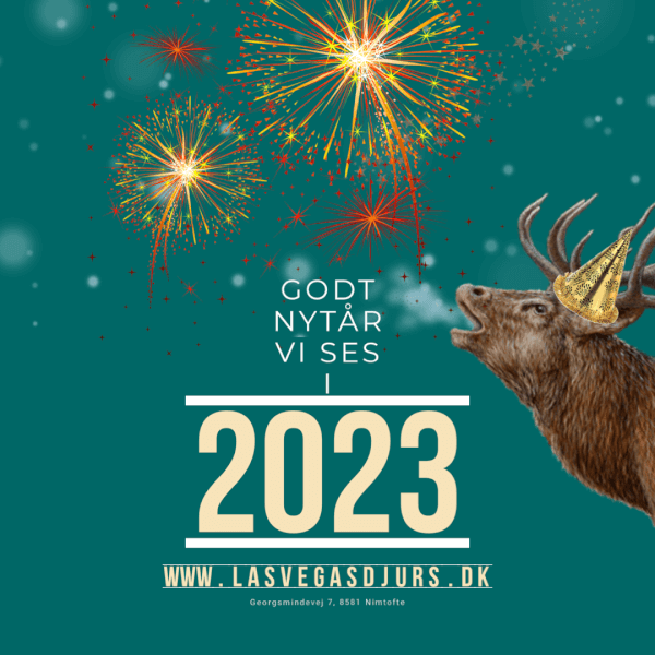 Hr. Krondyr er klar til at tage hul på 2023