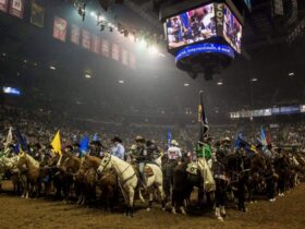 National Finals Rodeo 2019