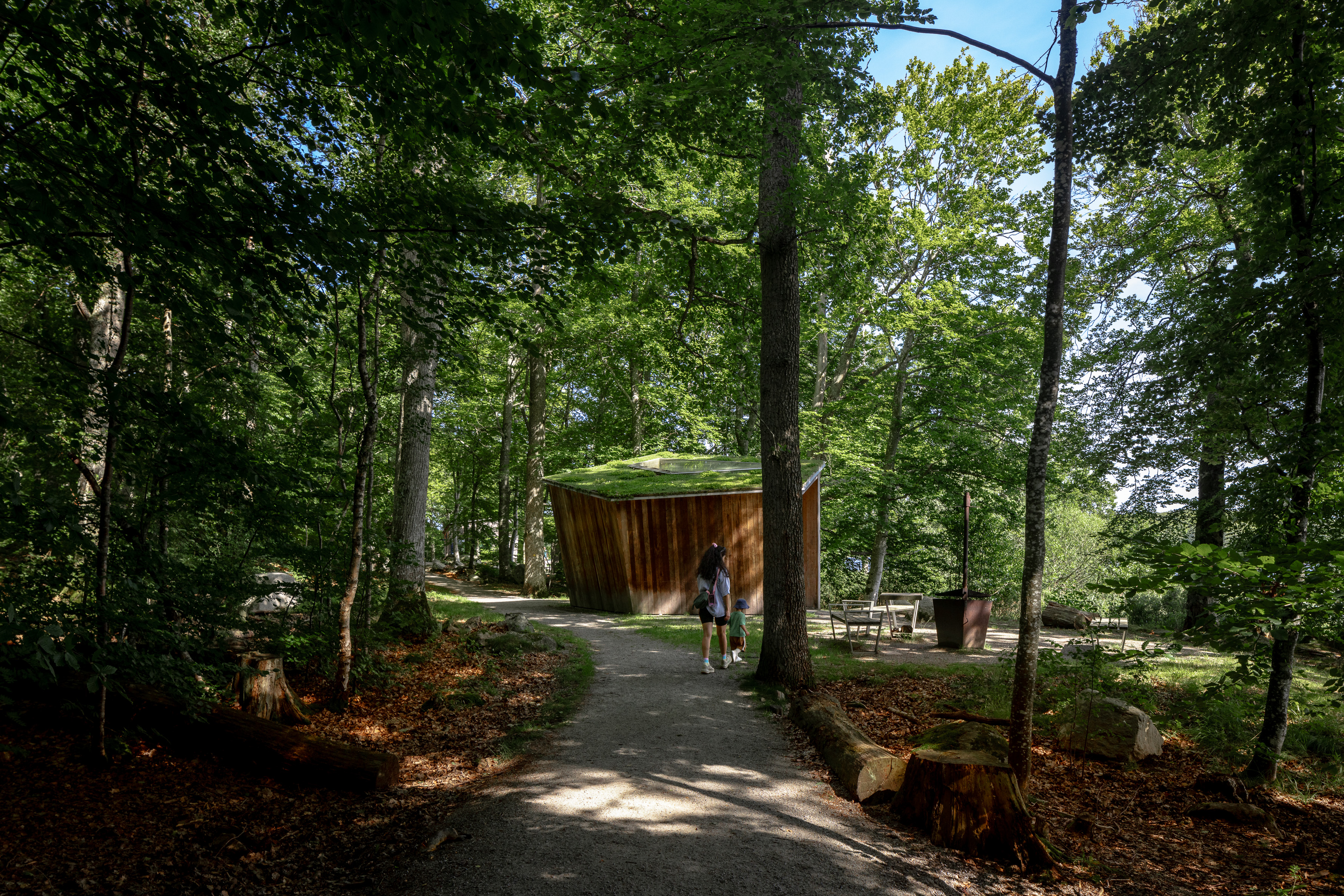 Sunnabron Åsnens Nationalpark