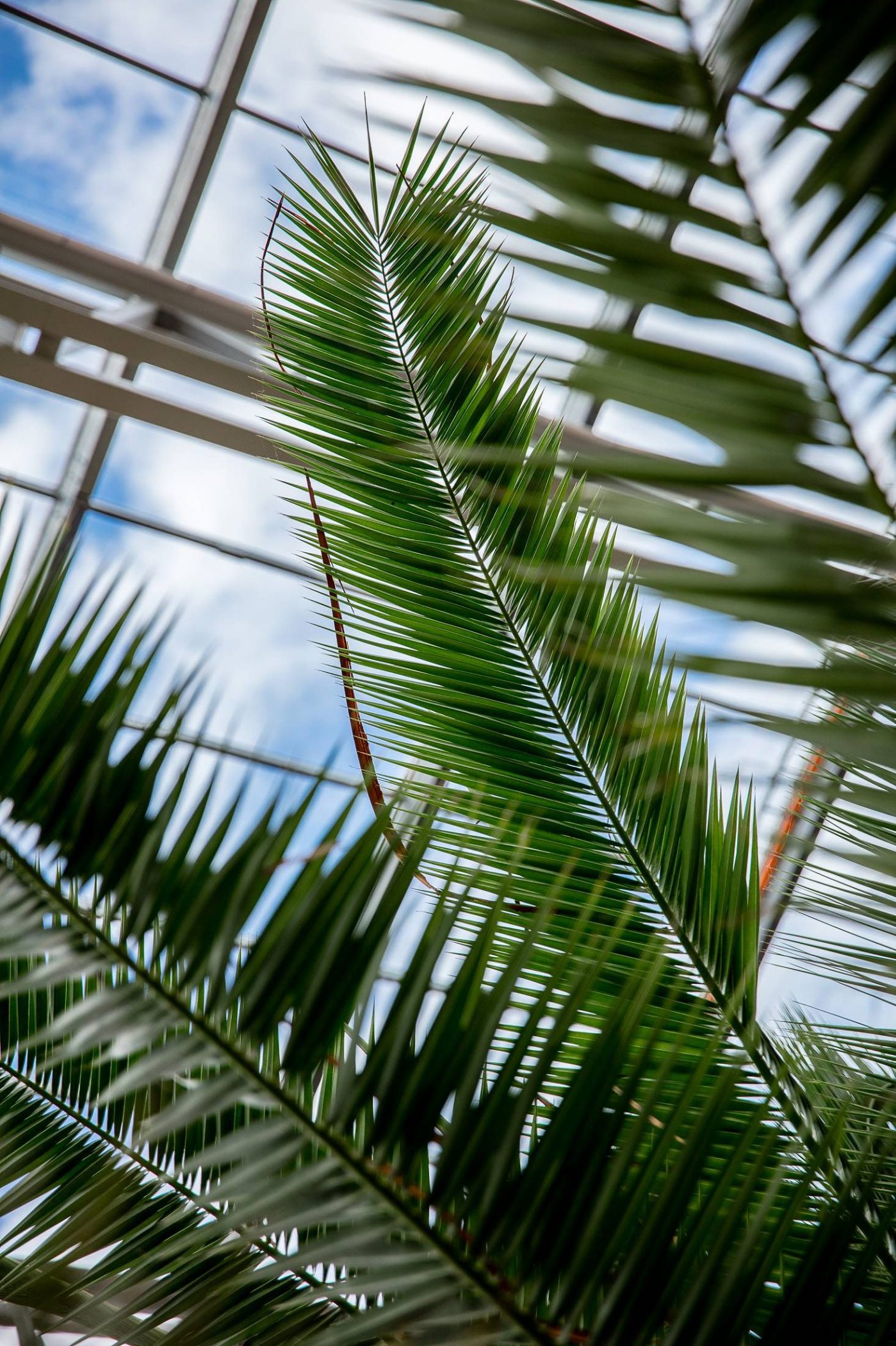 Arkitekturfoto. Bovieran Flora, Växjö. Foto: Laszlo Mag Arkitekturfoto. Bovieran Flora, Växjö. Foto: Laszlo Mag