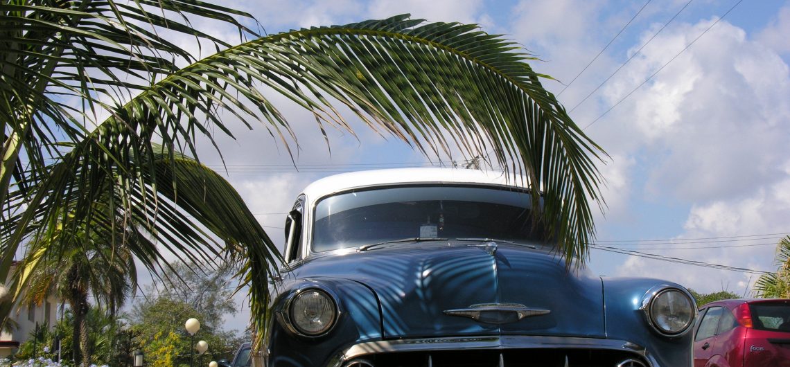 LatinA Tours Cuba - Vintage Car, Oldtimer, Transfer, Taxi, Plant, Flora, Kuba