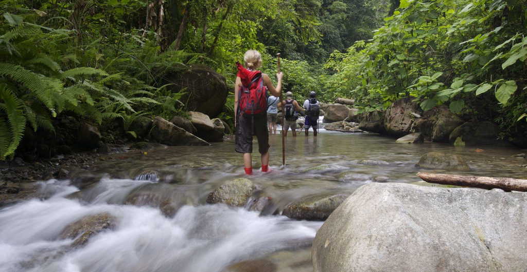 Costa Rica LatinA Tours Selva Bananito Wanderung