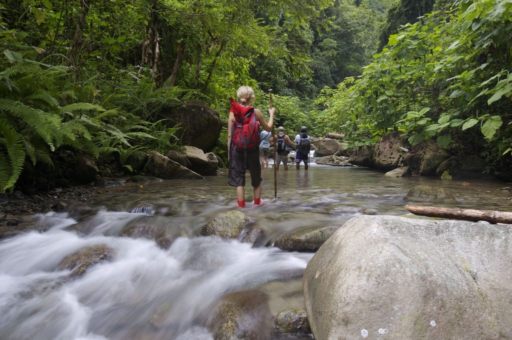 Costa Rica LatinA Tours Selva Bananito Wanderung