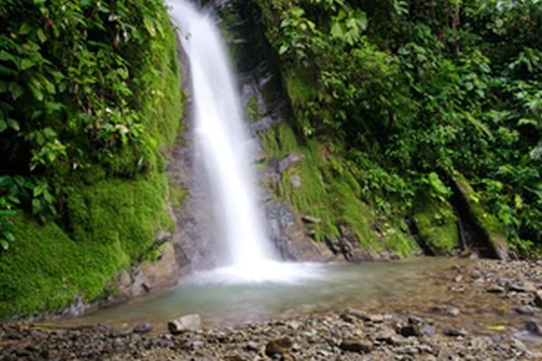 LatinA Tours Costa Rica Selva Bananito Lodge Ausflug Waterfall
