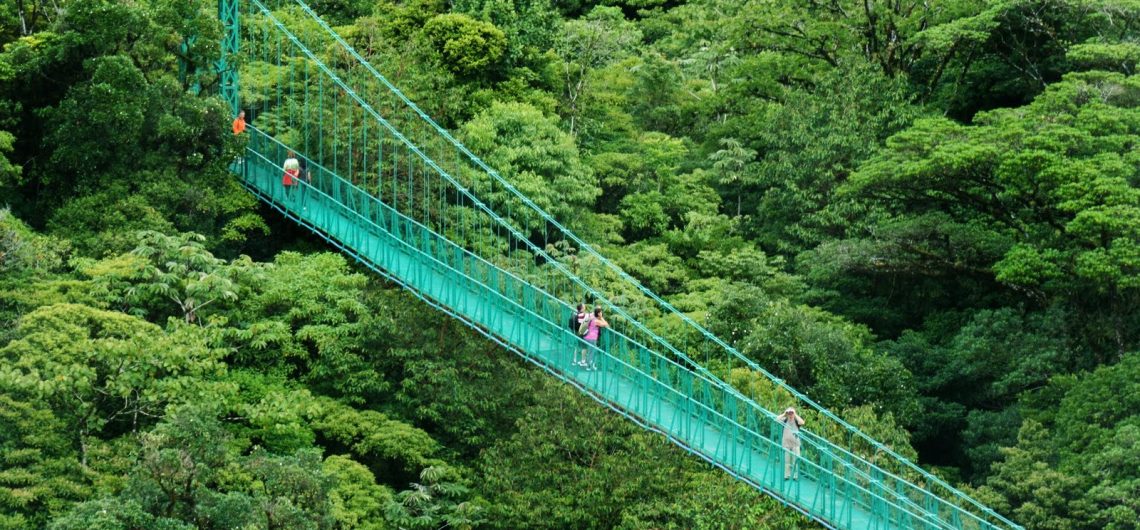 LatinA Tours Costa Rica Monteverde Hanging Bridges